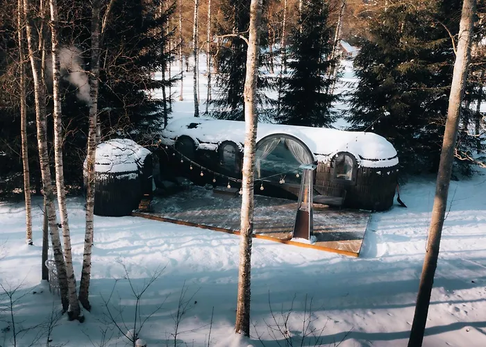 Pedaspae Igloo House And Sauna
