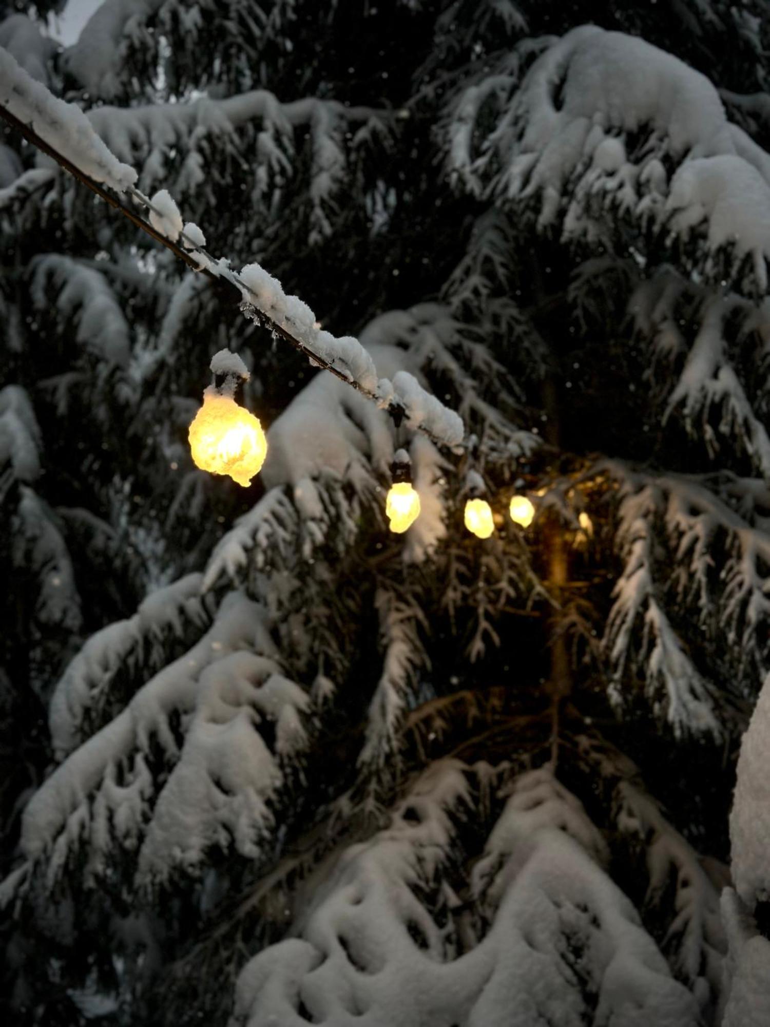 Pedaspae Igloo House And Sauna *